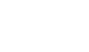 logo negativo dhl